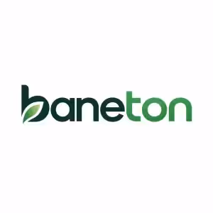 baneton.com logo